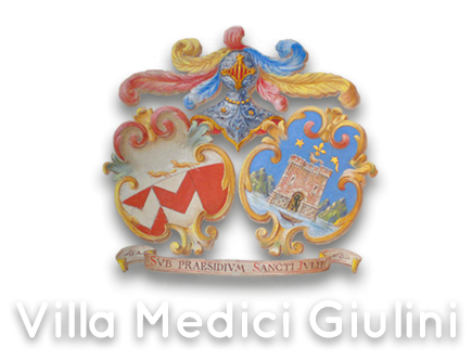 Villa Medici Giulini logo